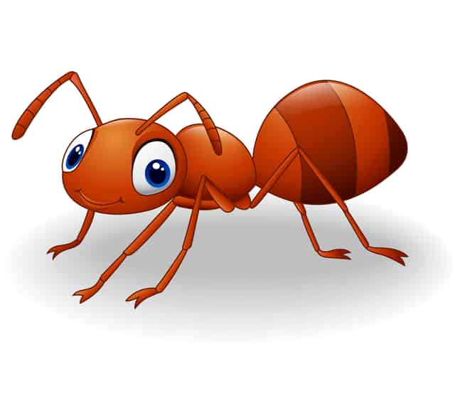 How to Get Rid of Ants: Effective Ant Control Methods and Natural Ant Repellents