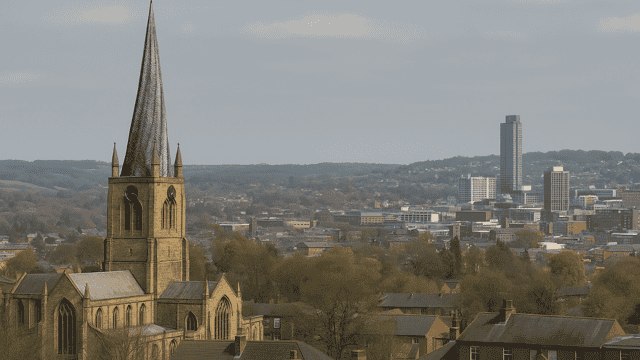 How to Get Rid of a Wasp Nest in 2025: Expert Treatment in Chesterfield & Sheffield
