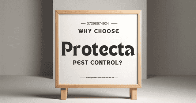 Protecta Pest Control for Rodent Farm Contracts in 2024