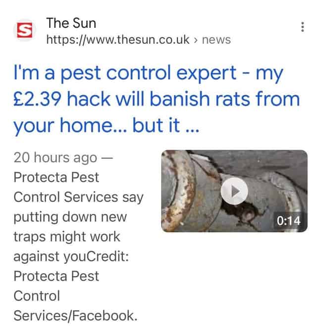 How Protecta Pest Control Got Mentioned in 2 National Newspapers