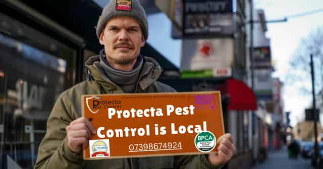 Why Local Pest Control Is Better Than the Big Companies 2024