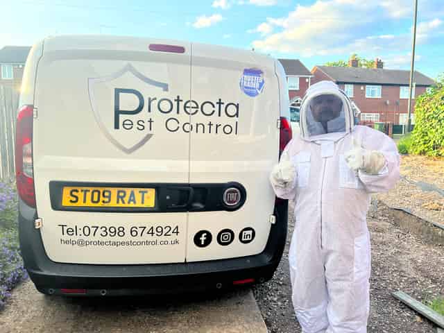 Wasp Nest Removal Near Me: Your Local Wasp Nest Treatment Service at a Fixed Price of £60:00