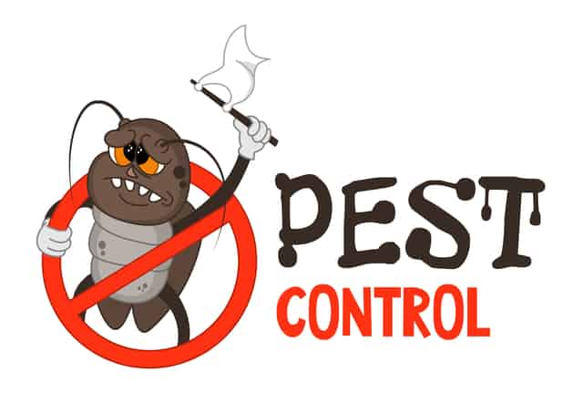 Protecta Pest Control: Your Local Pest Control in Chesterfield