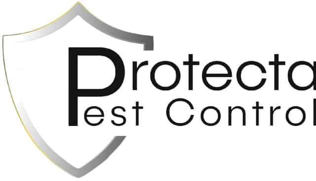 5 Questions You Need to Ask When Choosing a Pest Control Company for Your Home,