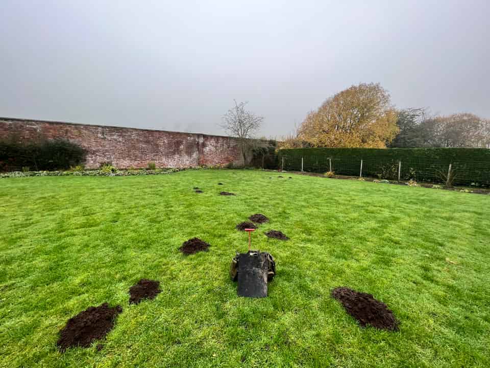 Mole Man: The Unsung Hero of My Garden – An Epic Tale of Human Versus Mole