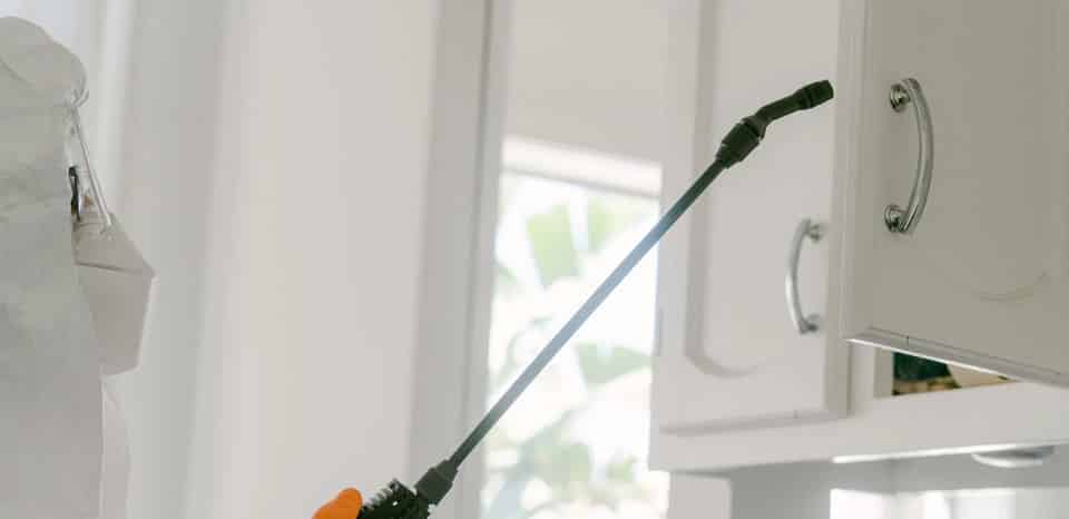 Professional Pest Control Services