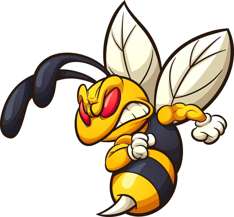 Wasp Nest Season:
