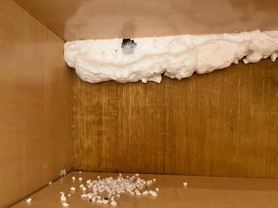 The Ultimate Guide to Mouse Pest Control: How to Get Rid of Mice for Good